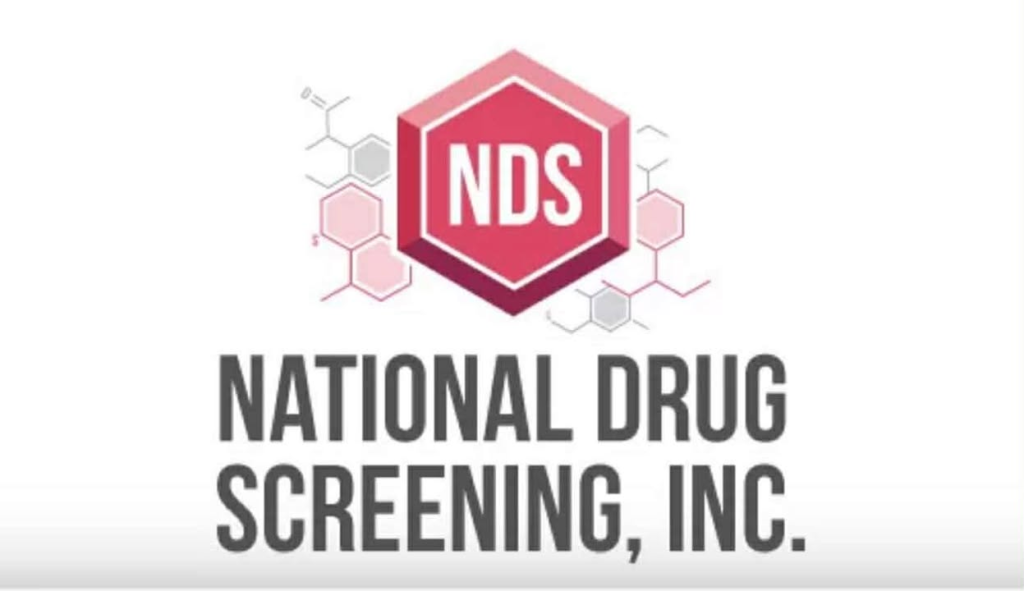 601166255_2026293931247444_7315052457176173527_n (2)